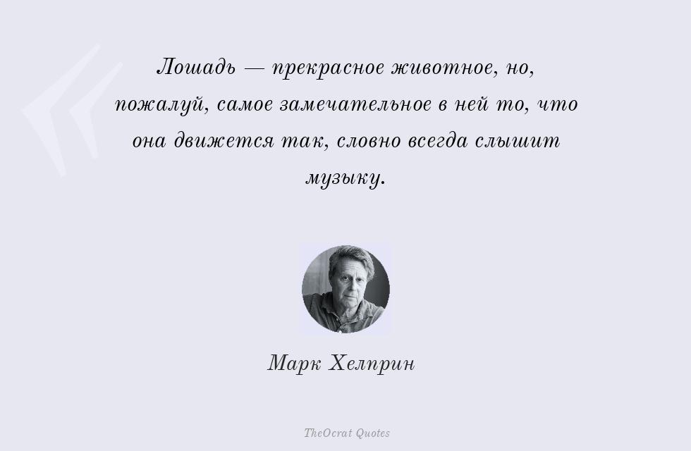 Лошадь — прекрасное животное, но,... – Марк Хелприн