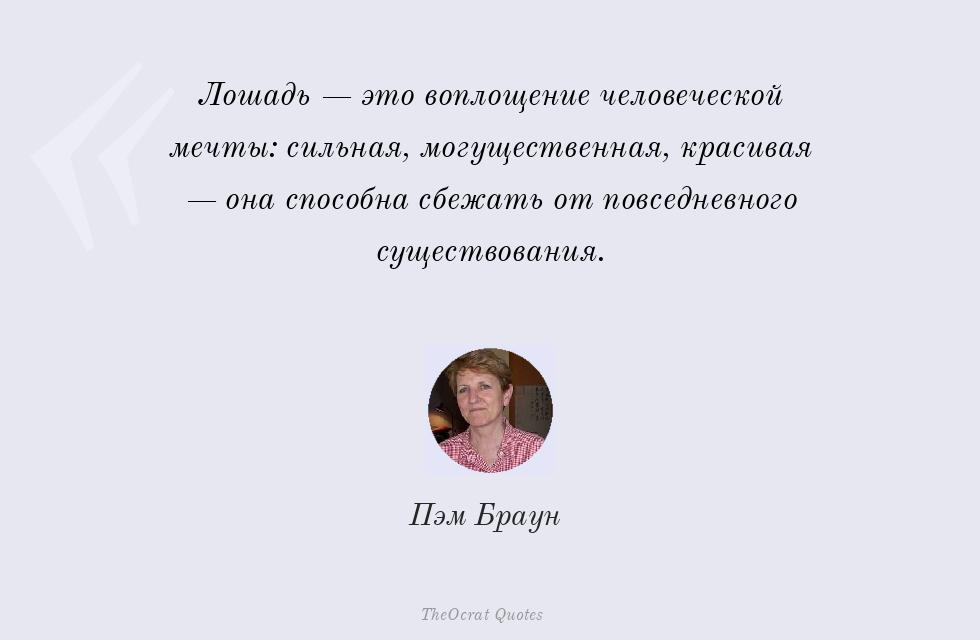 Лошадь — это воплощение человеческой... – Пэм Браун
