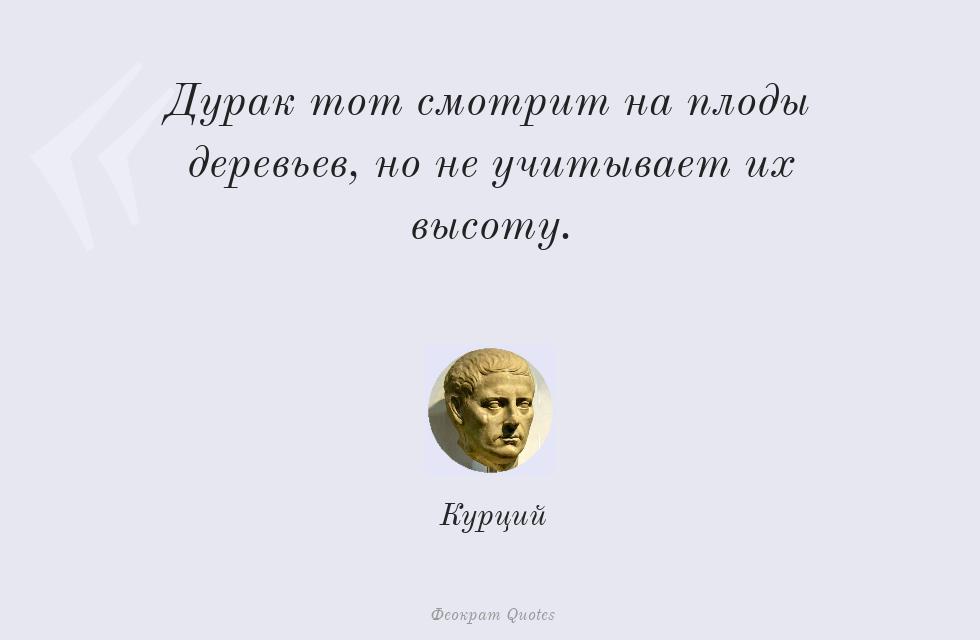 Цитата картинкой: Дурак тот смотрит на плоды деревьев, но... – Курций